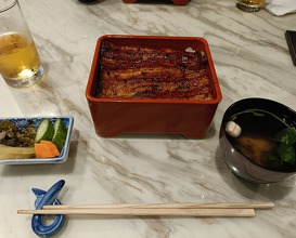Dinner at Unagi Uomasa (うなぎ 魚政)