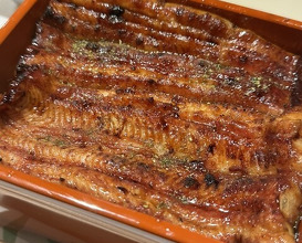 Dinner at Unagi Uomasa (うなぎ 魚政)