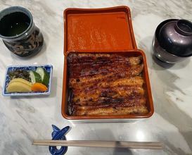 Dinner at Unagi Uomasa (うなぎ 魚政)