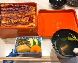 Dinner at Unagi Uomasa (うなぎ 魚政)