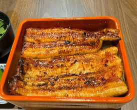 Dinner at Unagi Uomasa (うなぎ 魚政)