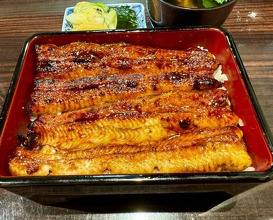 Dinner at Unagi Uomasa (うなぎ 魚政)