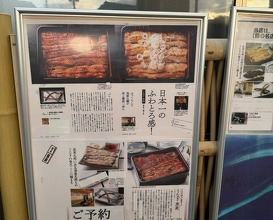 Dinner at Unagi Uomasa (うなぎ 魚政)