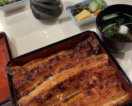 Dinner at Unagi Uomasa (うなぎ 魚政)
