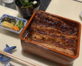 Dinner at Unagi Uomasa (うなぎ 魚政)