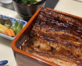 Dinner at Unagi Uomasa (うなぎ 魚政)