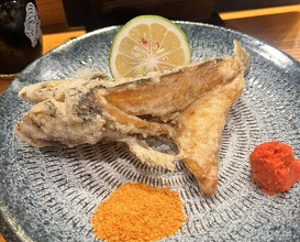 Dinner at Uotora (魚虎)