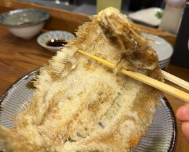Dinner at Uotora (魚虎)
