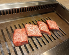 Dinner at USHIGORO S. GINZA (USHIGORO S. GINZA)