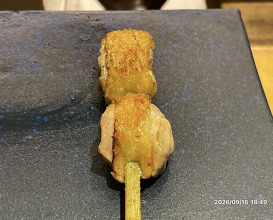 Dinner at Tori Yamamoto (とり やまもと)