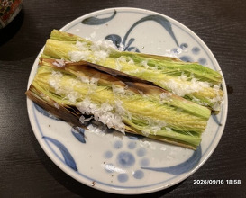 Dinner at Tori Yamamoto (とり やまもと)