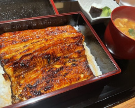 Dinner at Yamasei (山勢)