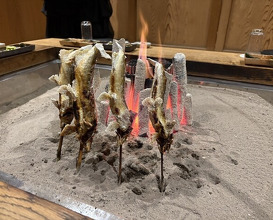 Dinner at Yanagiya (柳家)