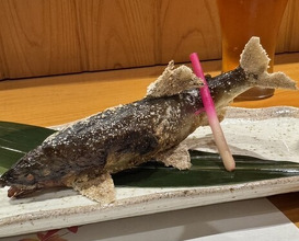 Dinner at Yanagiya Nishiki (柳家錦)