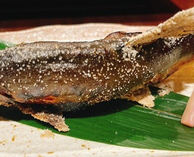 Dinner at Yanagiya Nishiki (柳家錦)