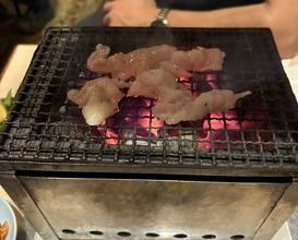 Dinner at Sumibi Yaki Yuji (炭火焼 ゆうじ)