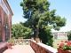 Nettuno