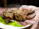 Long Beach King Seafood Restaurant