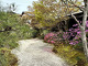 eX cafe Kyoto Arashiyama