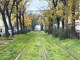 La Quarta Carbonaia