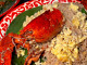 Panna Thai Restaurant