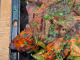 Cilantro Mediterranean Cuisine
