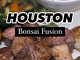 Bonsai Fusion Japanese Steakhouse