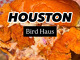 Bird Haus