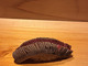 Sushi Rizaki (鮨 利﨑)