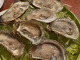 Oyster Bar Columbia