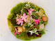 Arc Restaurant
