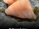OMAKAI sushi