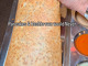 Amma's South Indian Cuisine