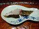 Dogo Kaishu (道後 海舟)