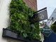 Bistro Féline