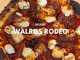 Walrus Rodeo