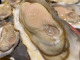 COCONO 横丁