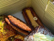 Del Sur Bakery