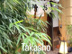 Takajo Kotobuki