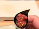 Sushi Wadatsumi