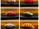 Sushi Fujimoto