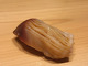 Satake (佐たけ)