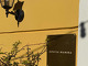 Osteria Mamma