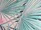 Palm&Pine
