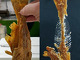 Williby's Catfish | Fresh Catfish Restaurant