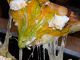 Alice Pizza and Restaurant (Locust Street)
