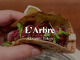 Restaurant L'Arbre(ラルブル)
