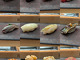 Sushi Sho (すし匠)