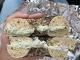 Bagel International & Deli - Bradley Beach