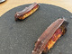 anchoa (anchoa)